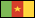 Flag of Cameroon